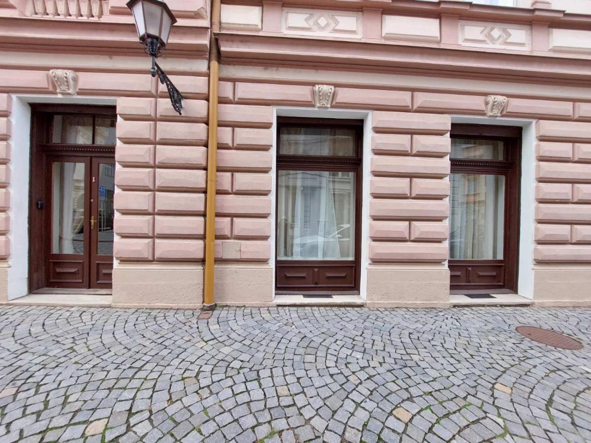 Exkluzivni Apartman V Prizemi V Hradci Kralove Hradec Králové المظهر الخارجي الصورة